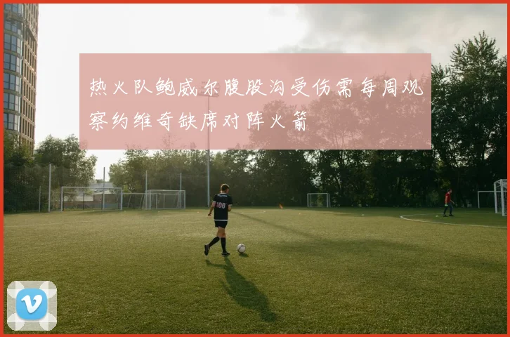 热火队鲍威尔腹股沟受伤需每周观察约维奇缺席对阵火箭