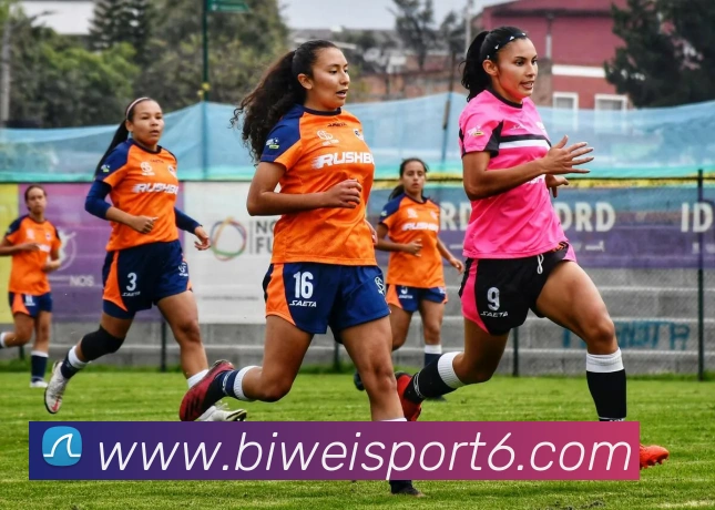 必威体育APP 封面图